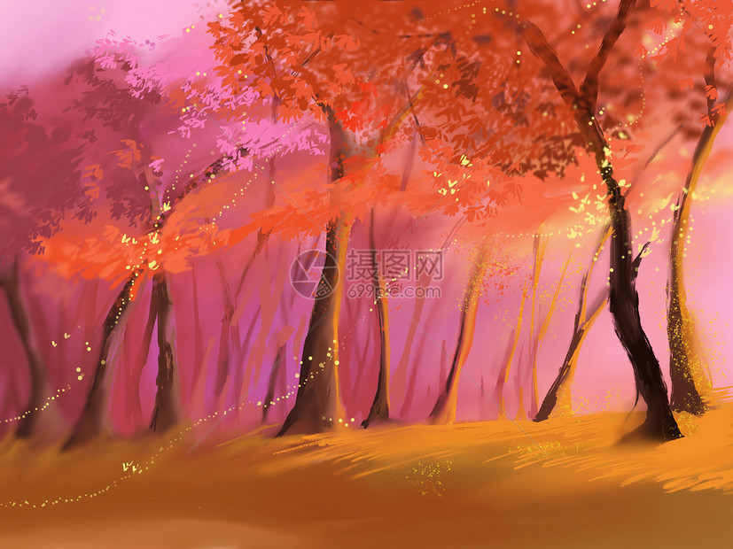 夕阳中的枫树林图片