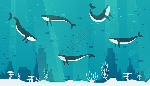 海底世界插画背景图片