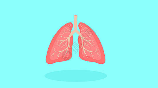 肺部健康背景图片