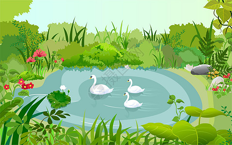 溪水的鹅绿藤小荷叶高清图片