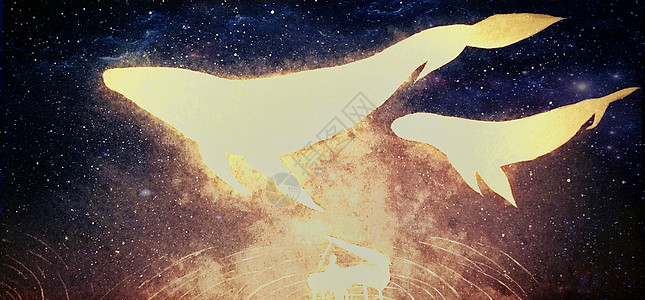 星空中的鲸鱼和钢琴师图片