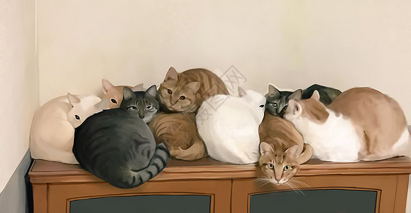 猫背景图片 猫背景素材 猫背景高清图片 摄图网图片下载