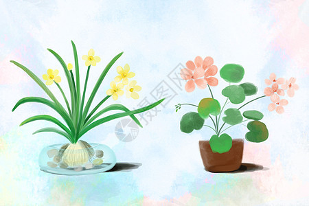 水仙花和天竺葵图片
