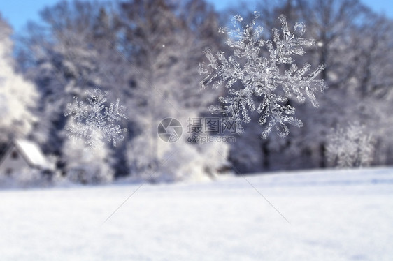 雪花图片