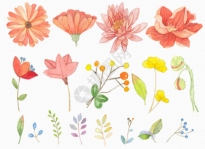 毛笔边框花卉元素背景插画