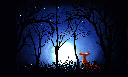 森林中的夜晚图片素材