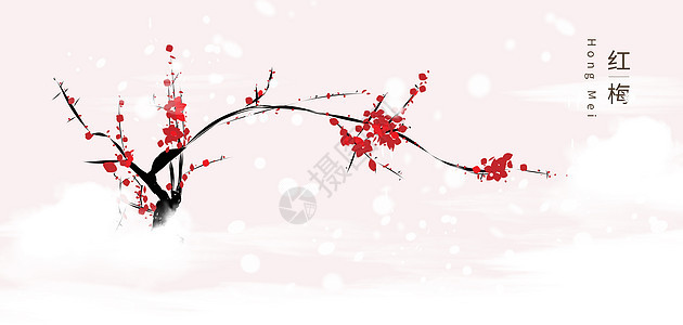 雪上红梅背景图片