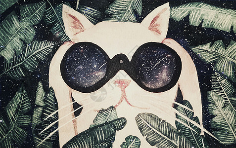 看星空的猫治愈系插画图片