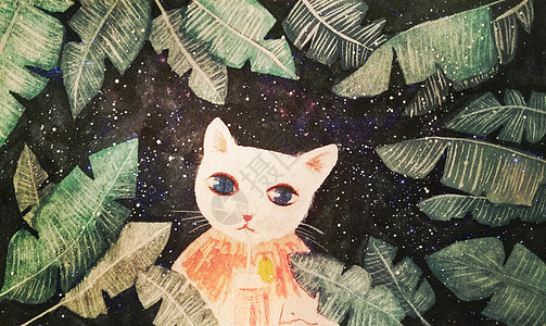 星空下的猫治愈系插画背景图片