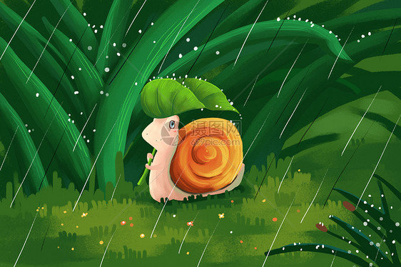 雨天中的蜗牛图片