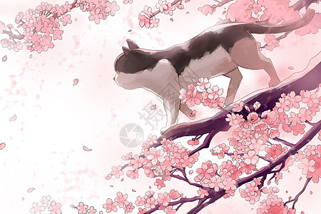 北美风情樱花树上的猫咪插画