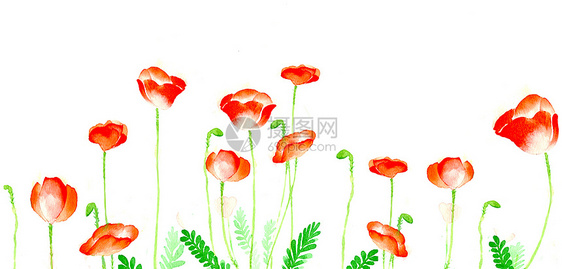 水彩花卉植物景图片