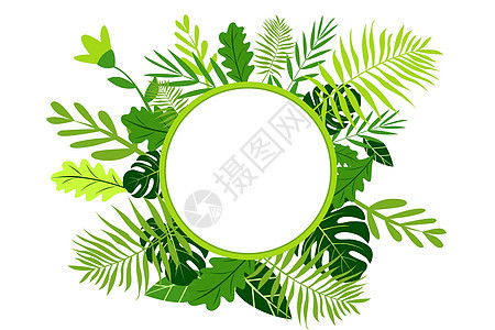 绿叶植物元素背景图片