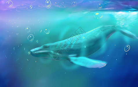 水中蓝鲸背景图片