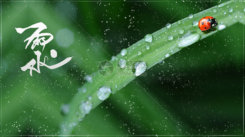 传统节日雨水节气图片