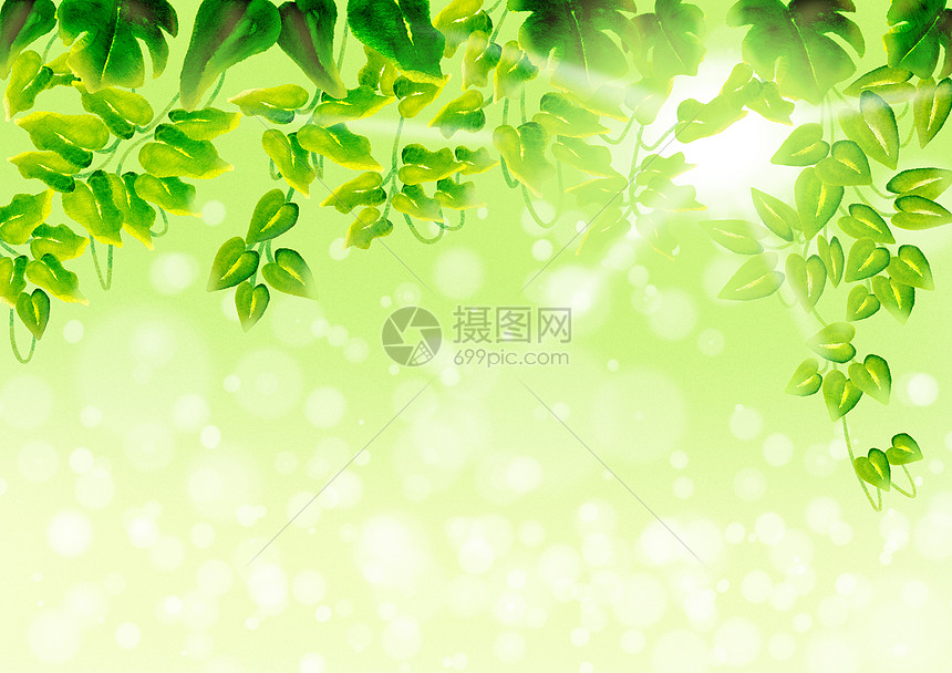 植物背景素材插画图片下载 正版图片 摄图网 植物背景素材插画图片下载 正版图片 摄图网