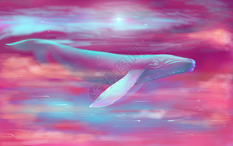 云层中的鲸鱼图片