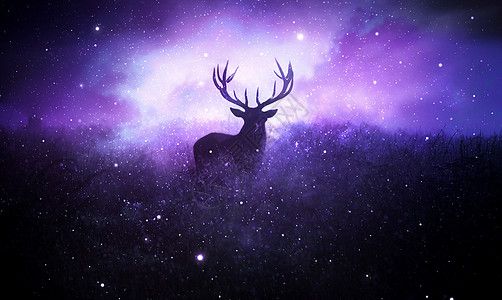 梦幻麋鹿图片