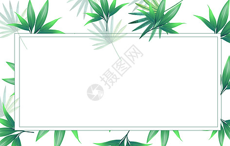 绿色植物背景图片