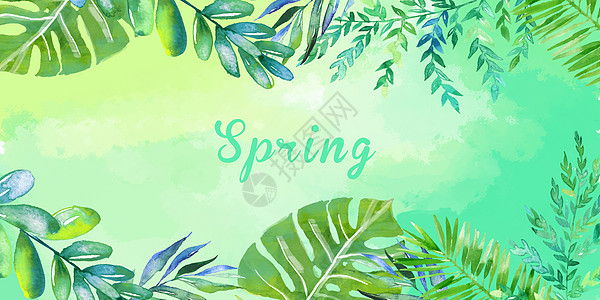 春天水墨绿色植物背景插画