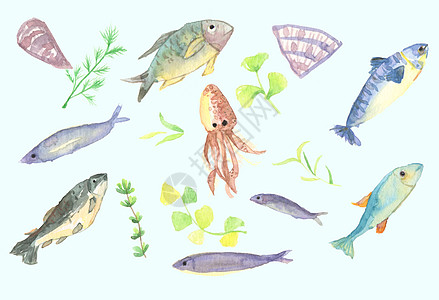 鱼肉丸手绘水彩深海鱼插画