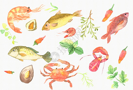鱼元素手绘水彩鱼类元素背景插画