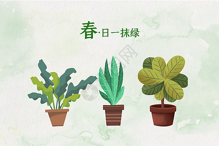 春天绿色植物盆景图片