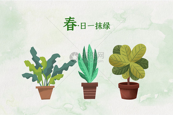 春天绿色植物盆景图片