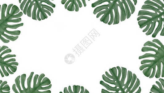 龟背竹叶子插画 龟背竹叶子卡通 龟背竹叶子插图 手绘 板绘 摄图网 龟背竹叶子插画 龟背竹叶子卡通 龟背竹叶子插图 手绘 板绘 摄图网