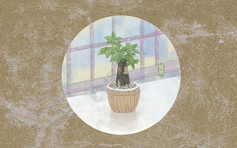 发财树绿植盆栽装饰画高清图片