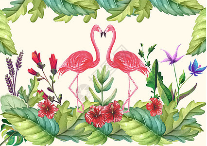 植物系插画背景图片