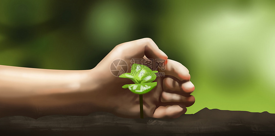 唯美插画 守护树苗.