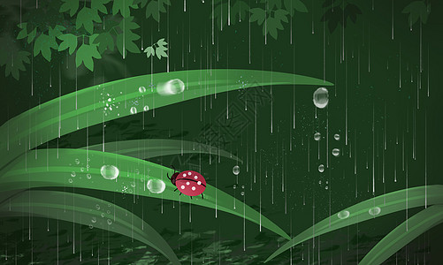 雨水叶子雨水谷雨节气插画壁纸插画