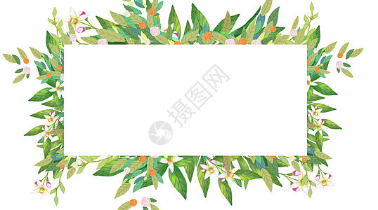 夏天植物背景插画图片下载 正版图片 摄图网