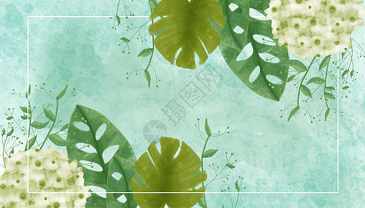 水彩叶子植物背景图片