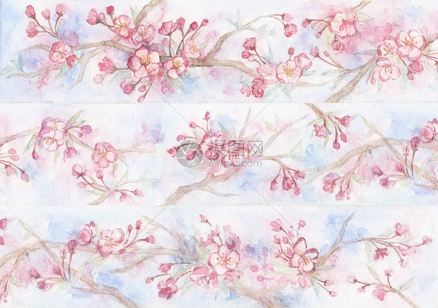 海棠花背景素材插画图片下载 正版图片 摄图网