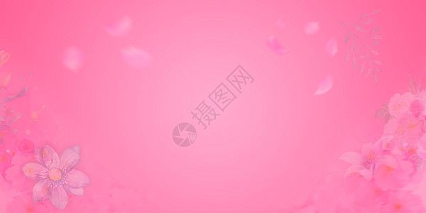 粉色背景背景图片