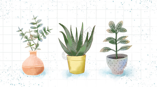 清晰桌面水彩植物插画
