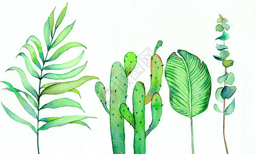 水彩北欧绿植手绘背景图片