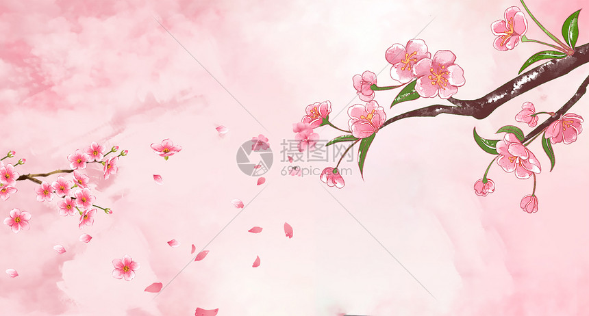樱花花卉素材背景图片