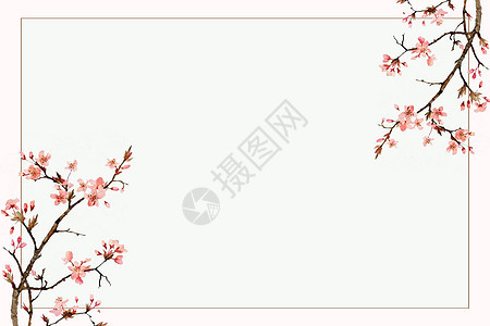 小清新樱花背景背景图片