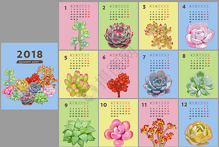 2018多肉植物日历图片