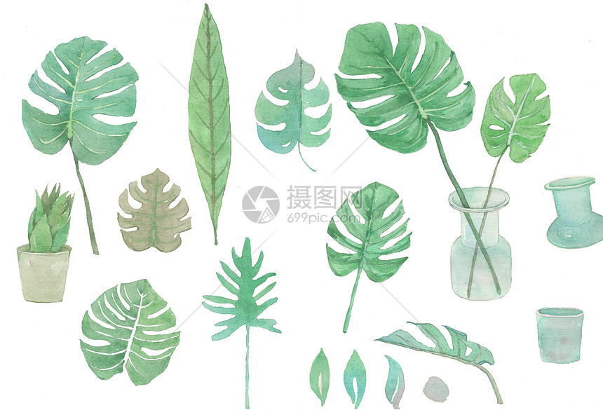 植物叶子背景素材插画图片下载 正版图片 摄图网 植物叶子背景素材插画图片下载 正版图片 摄图网