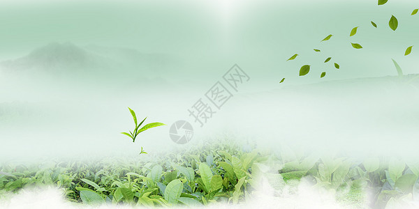 绿色云雾背景图片