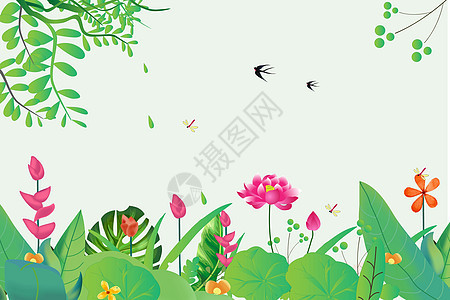 春天花卉背景图片