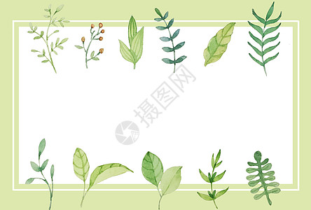 花草背景图片 花草背景素材 花草背景高清图片 摄图网图片下载