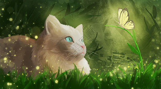 草丛中的猫咪和蝴蝶图片