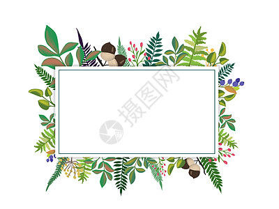 花卉植物圆形框插画图片下载-正版图片400121279-摄图网