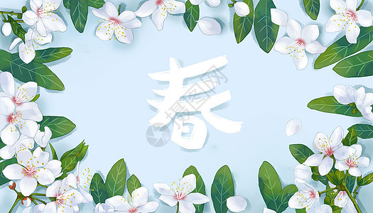 小清新春天的桃花背景图片