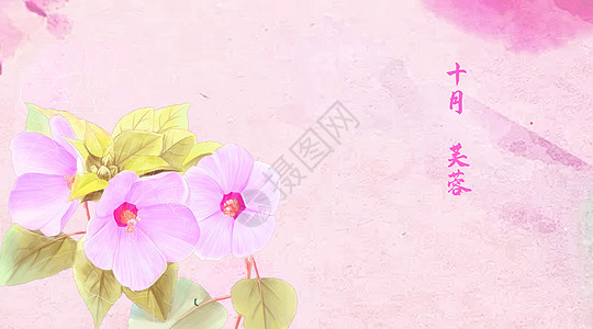 中国风花卉背景图片